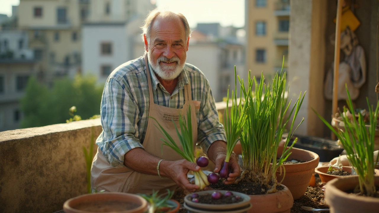 Onion Chemistry: Facts That Matter