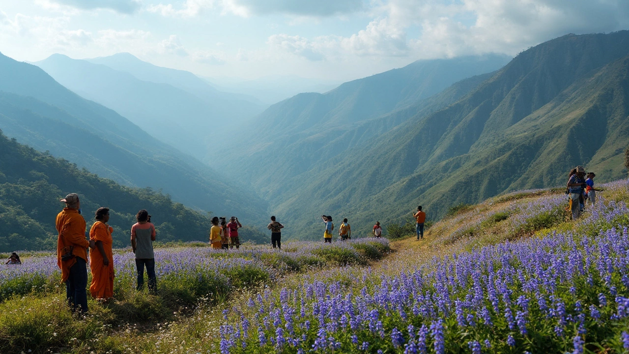 Rarest Flower in India: What Makes the Neelakurinji So Unique?