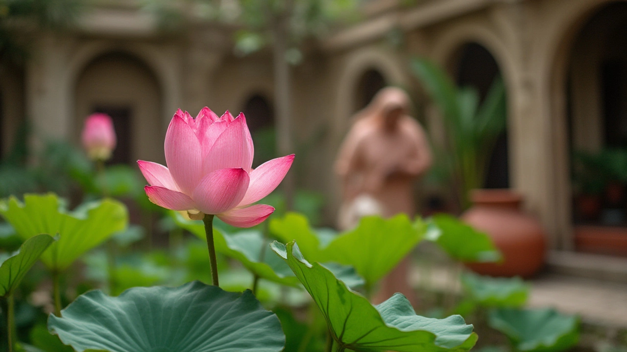 The Lotus in Indian Life: Festivals, Rituals, Everyday Wonders