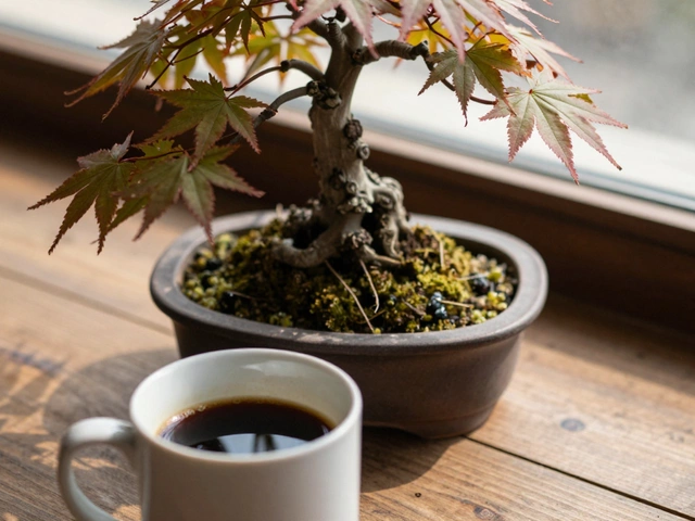 Is Coffee Good for Bonsai Trees? The Truth About Caffeine and Soil